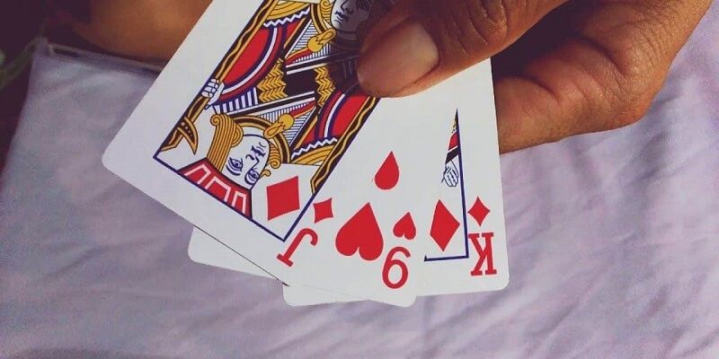 Vì sao bào cào 3 lá được ưa chuộng