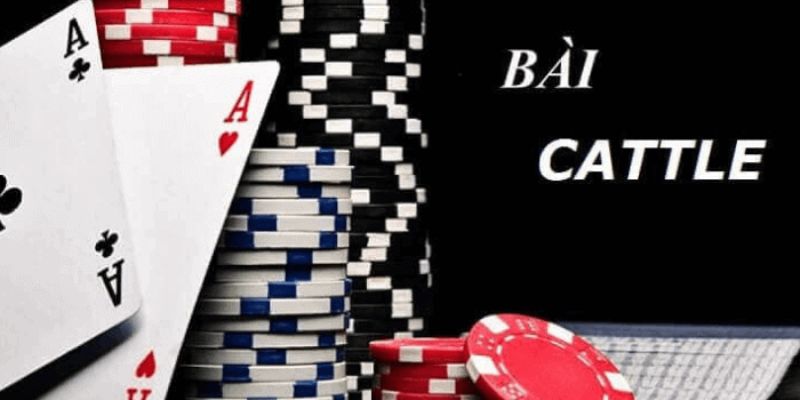 Nguồn gốc của bài Catte