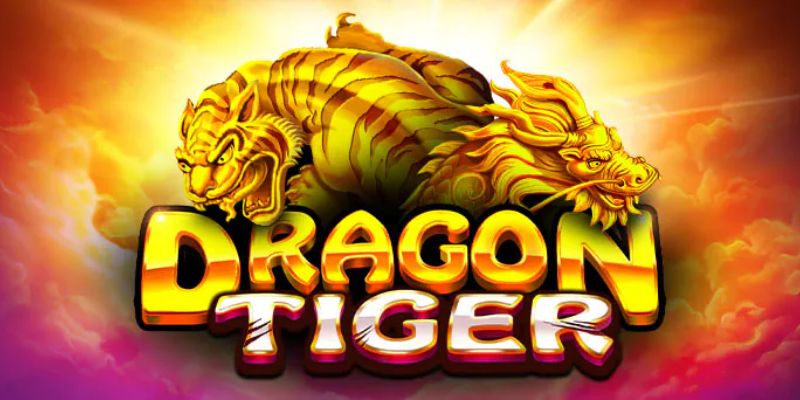 Chi tiết về rồng hổ